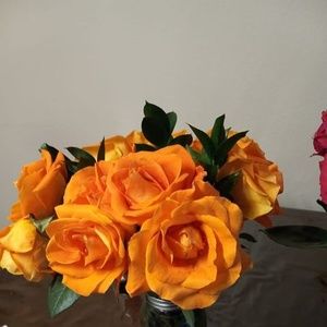 Meet your Posher, Hernandes